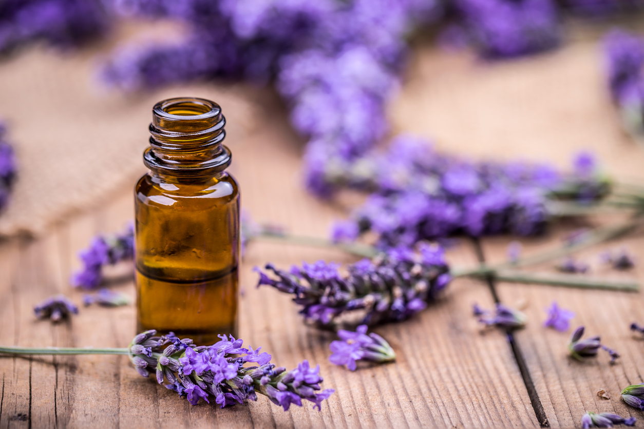 essential lavender oil