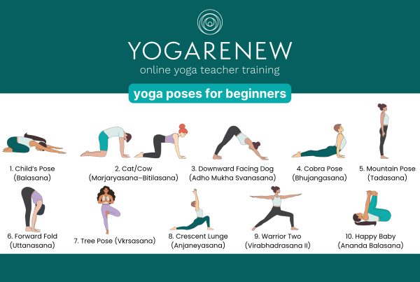 yoga poses for beginners downloadable image featuring: child's pose, cat/cow, down dog, cobra, mountain pose, forward fold, tree pose, crescent lunge, warrior two and happy baby.