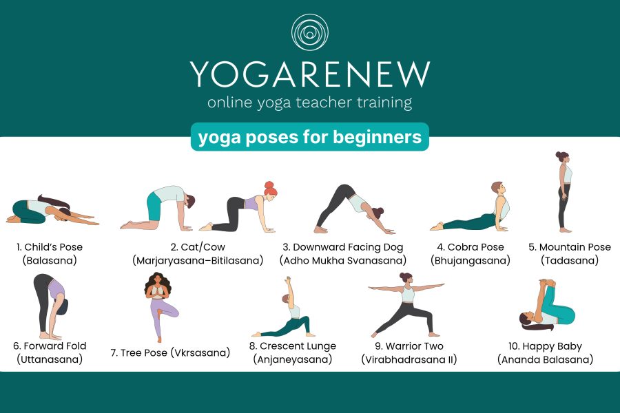 yoga poses for beginners downloadable image featuring: child's pose, cat/cow, down dog, cobra, mountain pose, forward fold, tree pose, crescent lunge, warrior two and happy baby.