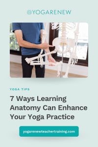 7 ways anatomy knowledge can help your yoga practice