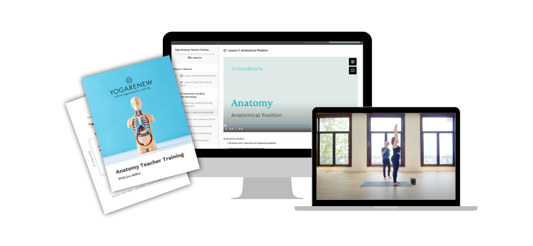 Online Yoga Anatomy Teacher Training Course