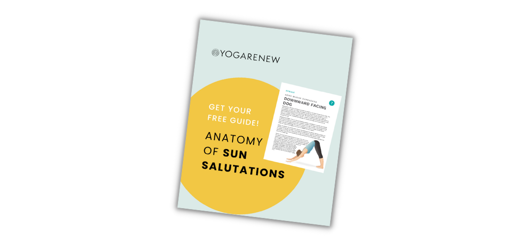 Free guide on the anatomy of sun salutations