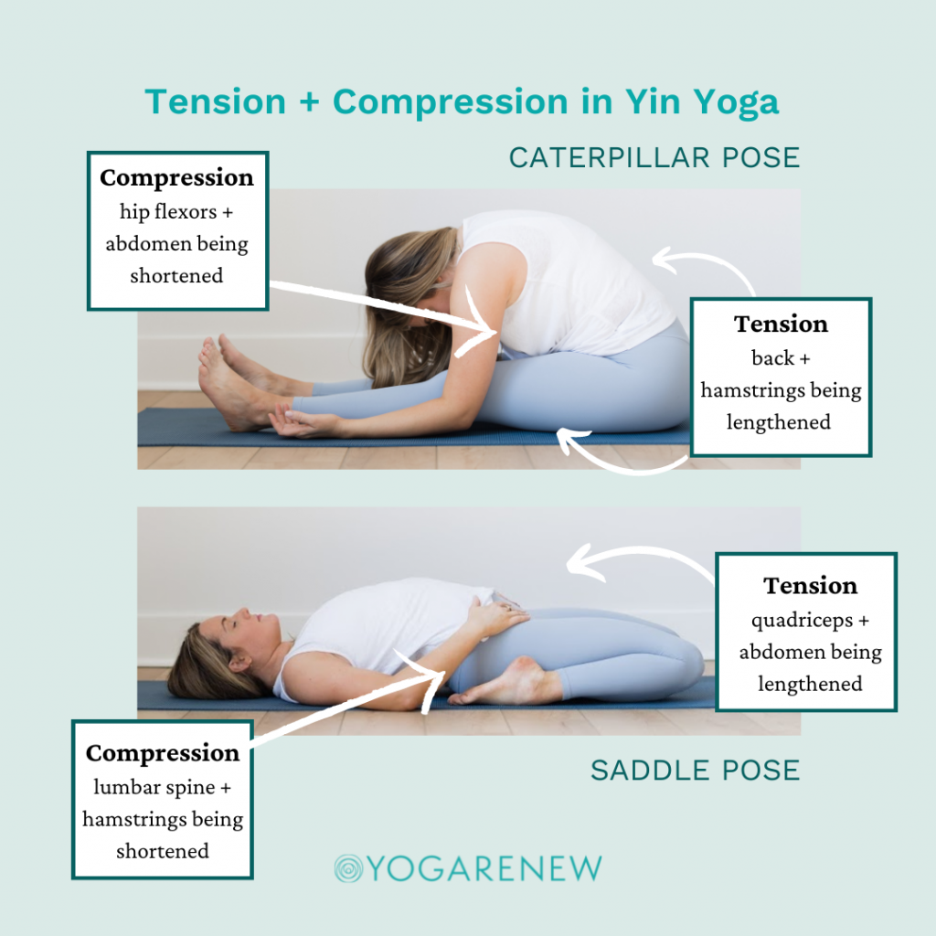 Yin Yoga Tension and Compression in Caterpillar and Saddle Pose