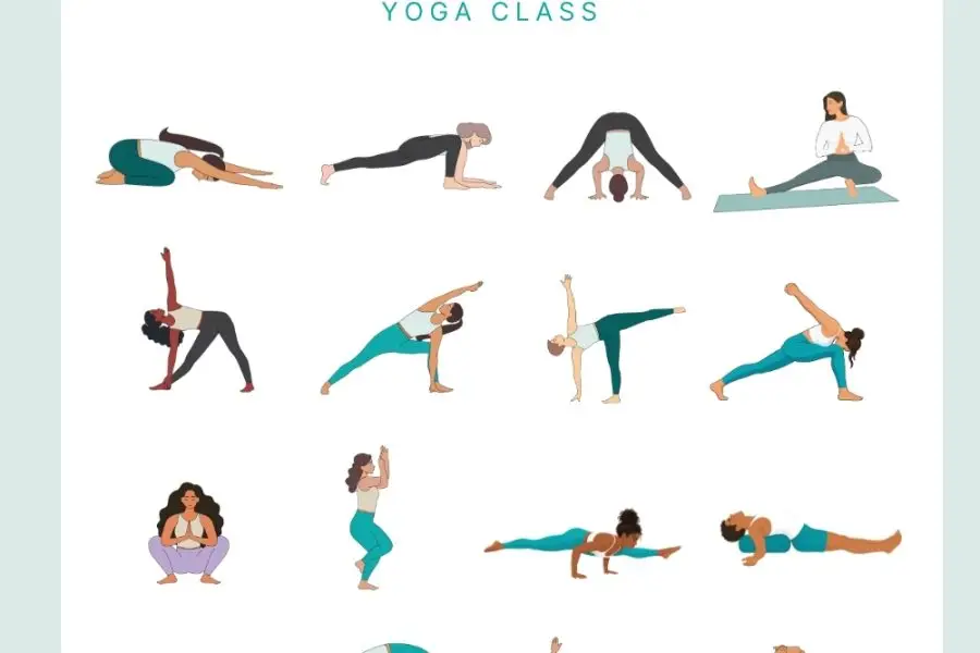 eka pada koundinyasana 2