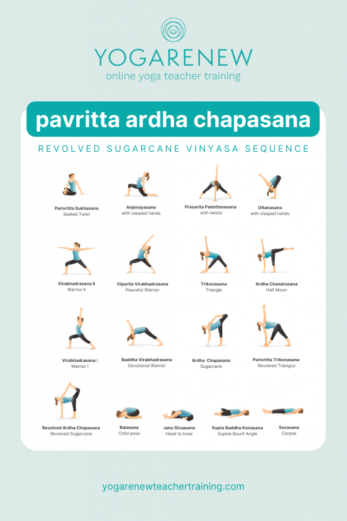 Kate Revolved Sugarcane Pose Sequence PDF