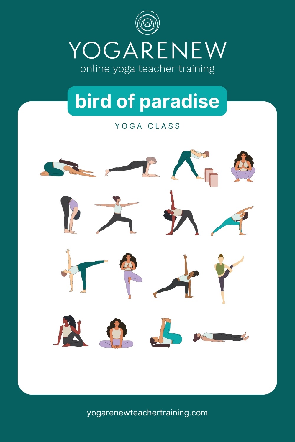 bird of paradise