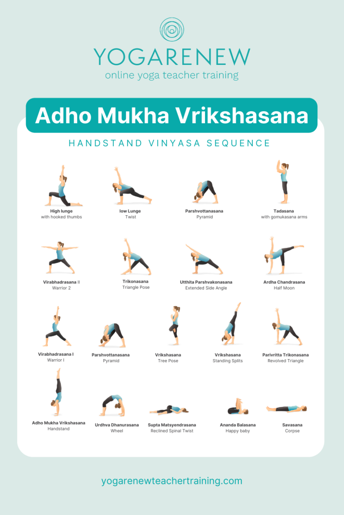 Handstand Vinyasa Sequence PDF