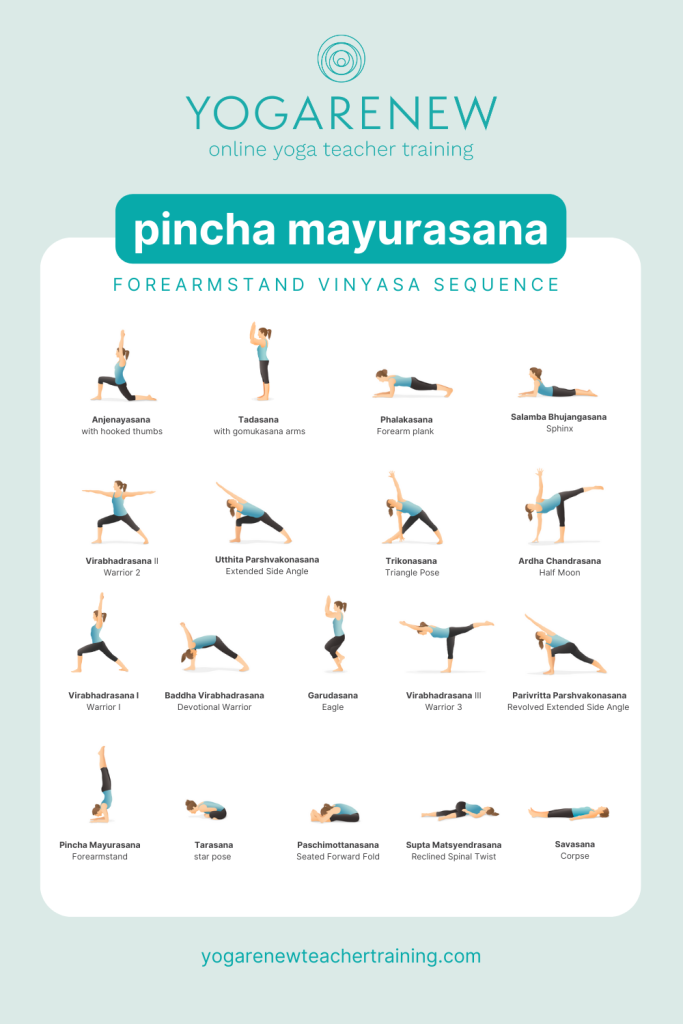 Forearmstand yoga class sequence with graphics of a yogi doing each of the supporting poses with both the English and Sanskrit names underneath