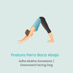 Postura Perro Boca Abajo (Downward Facing Dog)