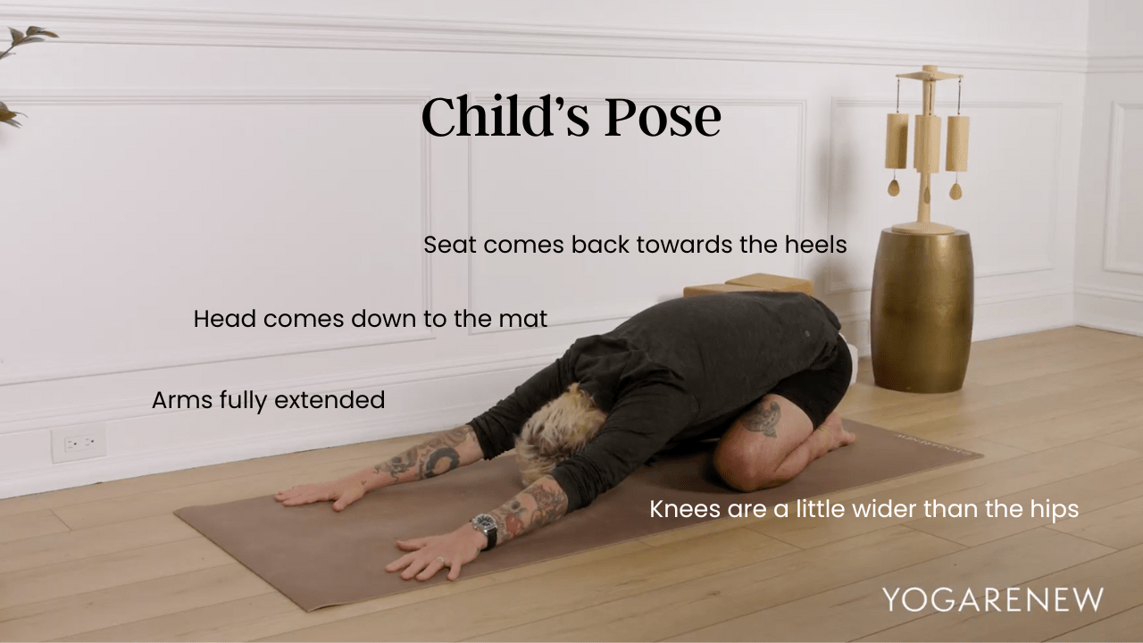 Child's pose infographic