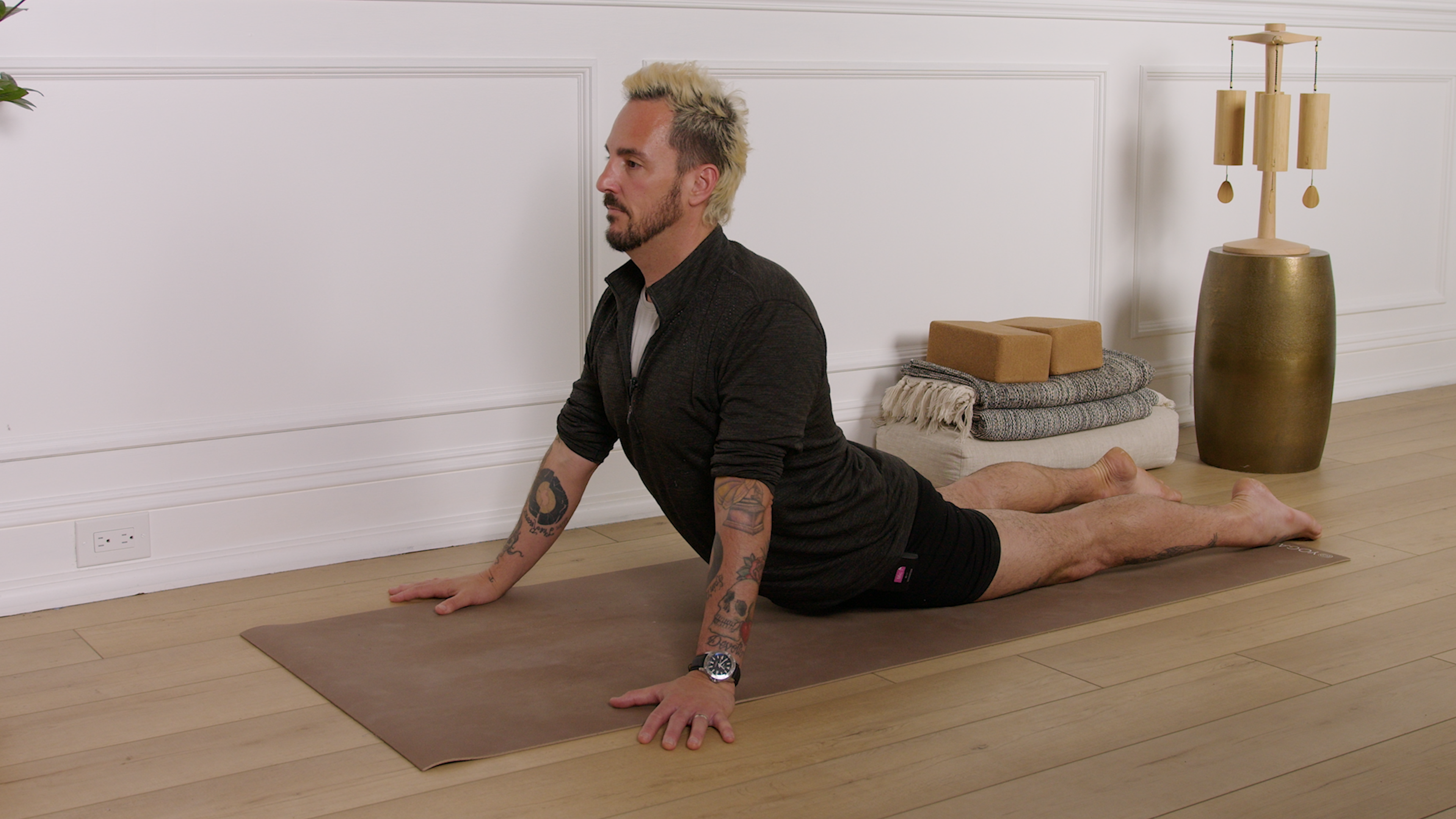 Cobra Pose