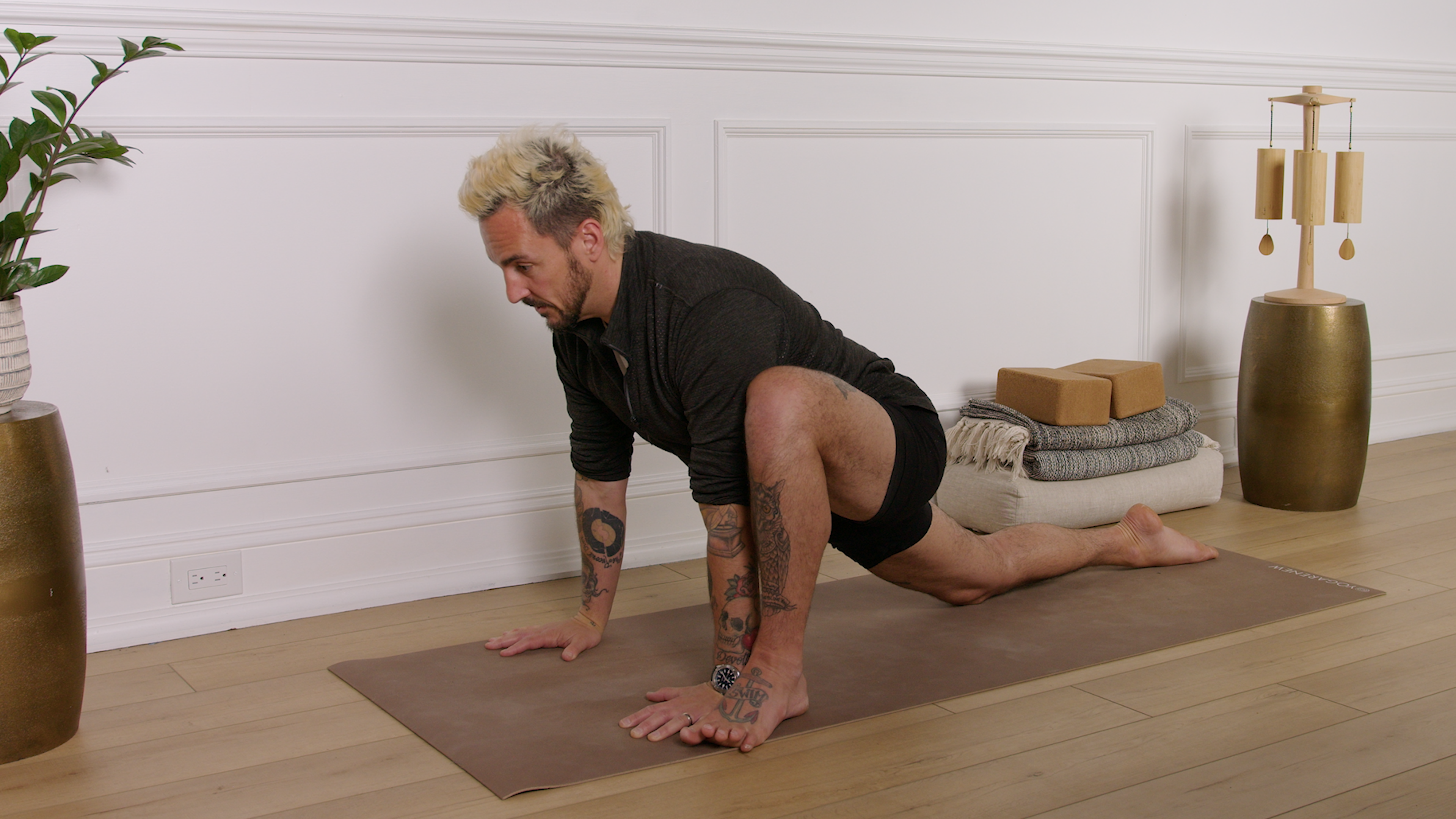 Lizard Lunge