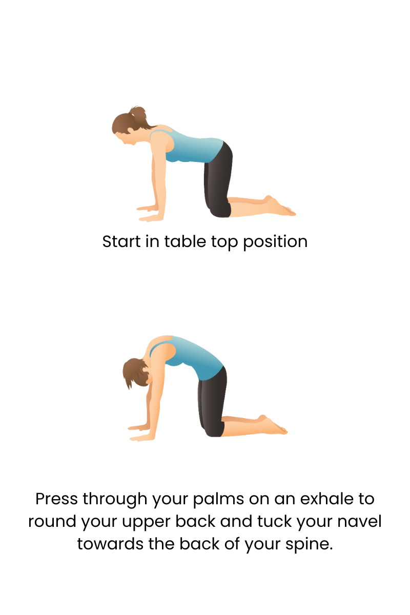 Cat pose tutorial graphic