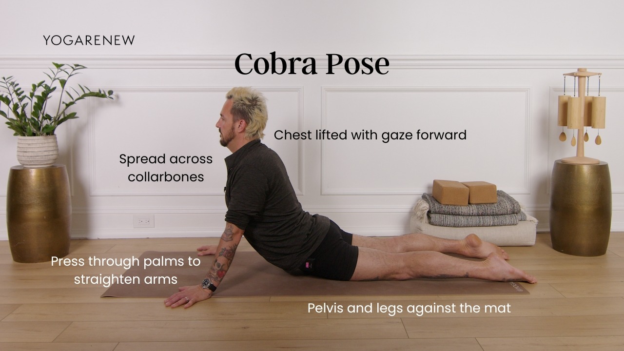 Cobra pose alignment points: Spread across collarbones, chest lifted, gaze forward, press through palms to straighten arms, pelvis and legs against the mat