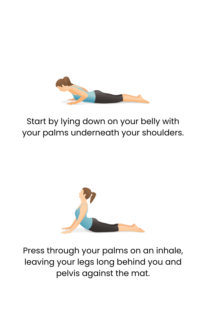 cobra pose tutorial graphic