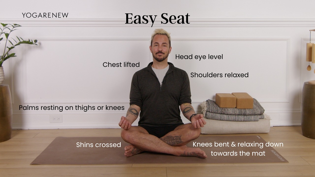 Easy Seat alignment photo: Chest lifted, head eye level, palms resting on thighs or knees, shoulders relaxed, shins crossed, knees bent & relaxing down towards the mat