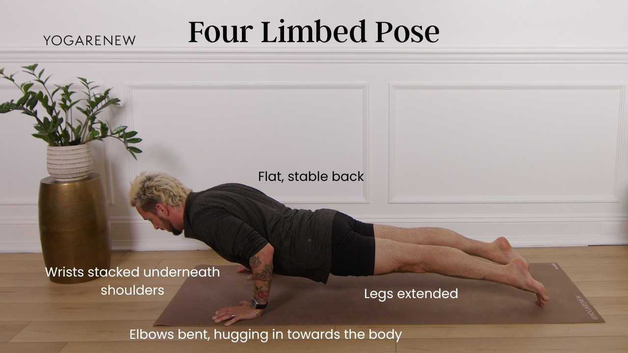 Chaturanga Dandasana alignment photo of Patrick Franco lowering down into chaturanga. His elbows are bent, hugging in towards the body, body is in a straight line, he's on his toes as he looks forward with the rest of his body in a nice, straight line