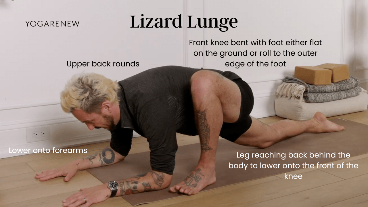 Lizard Lunge Alignment Graphic