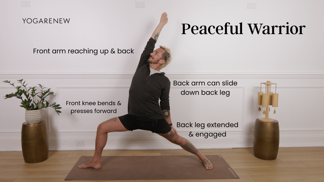 Peaceful Warrior graphic