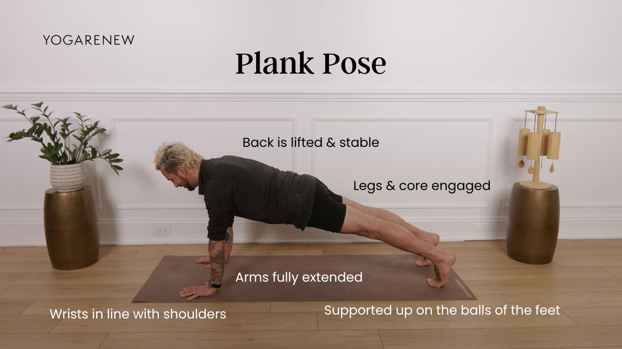 plank pose diagram with alignment points on Patrick Franco