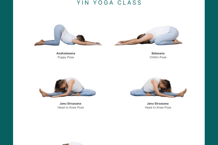Yin yoga sequence pdf with puppy pose, child's pose, Janu Sirsasana (both sides), Paschimottanasana, and Savasana