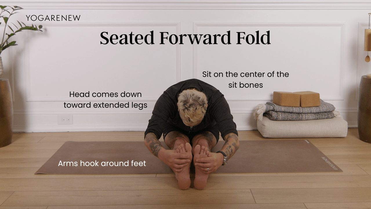 Seated Forward Fold: Sit on the center of your sit bones, head comes down toward extended legs, arms or hands hook around feet