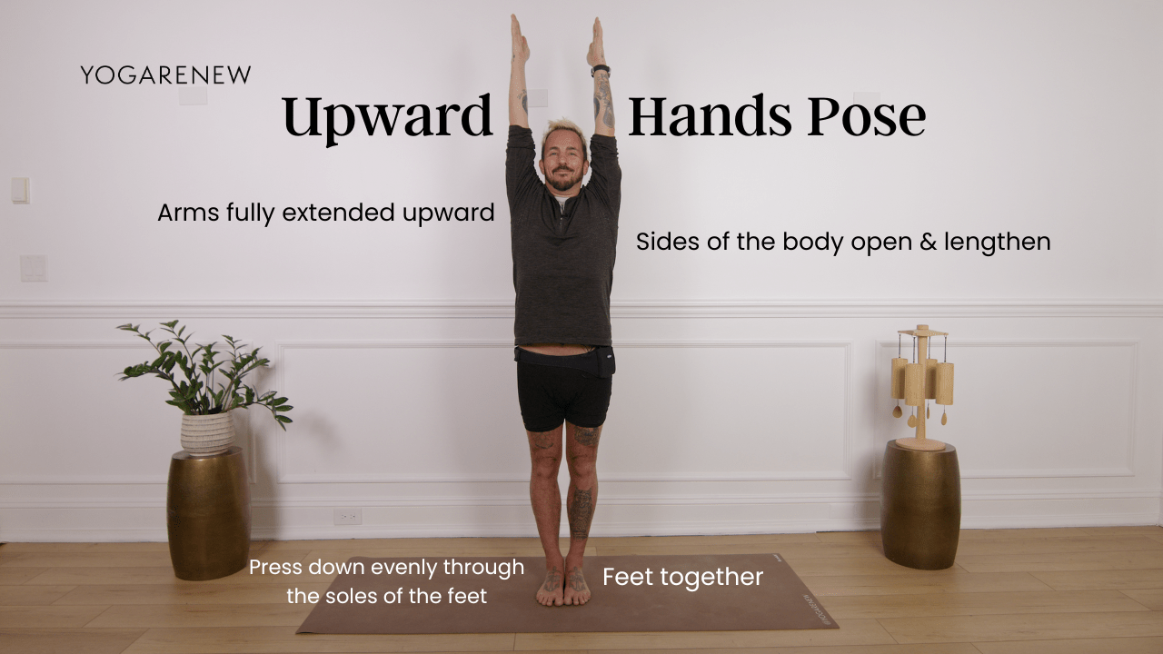 Upward Hands Pose with alignment cues