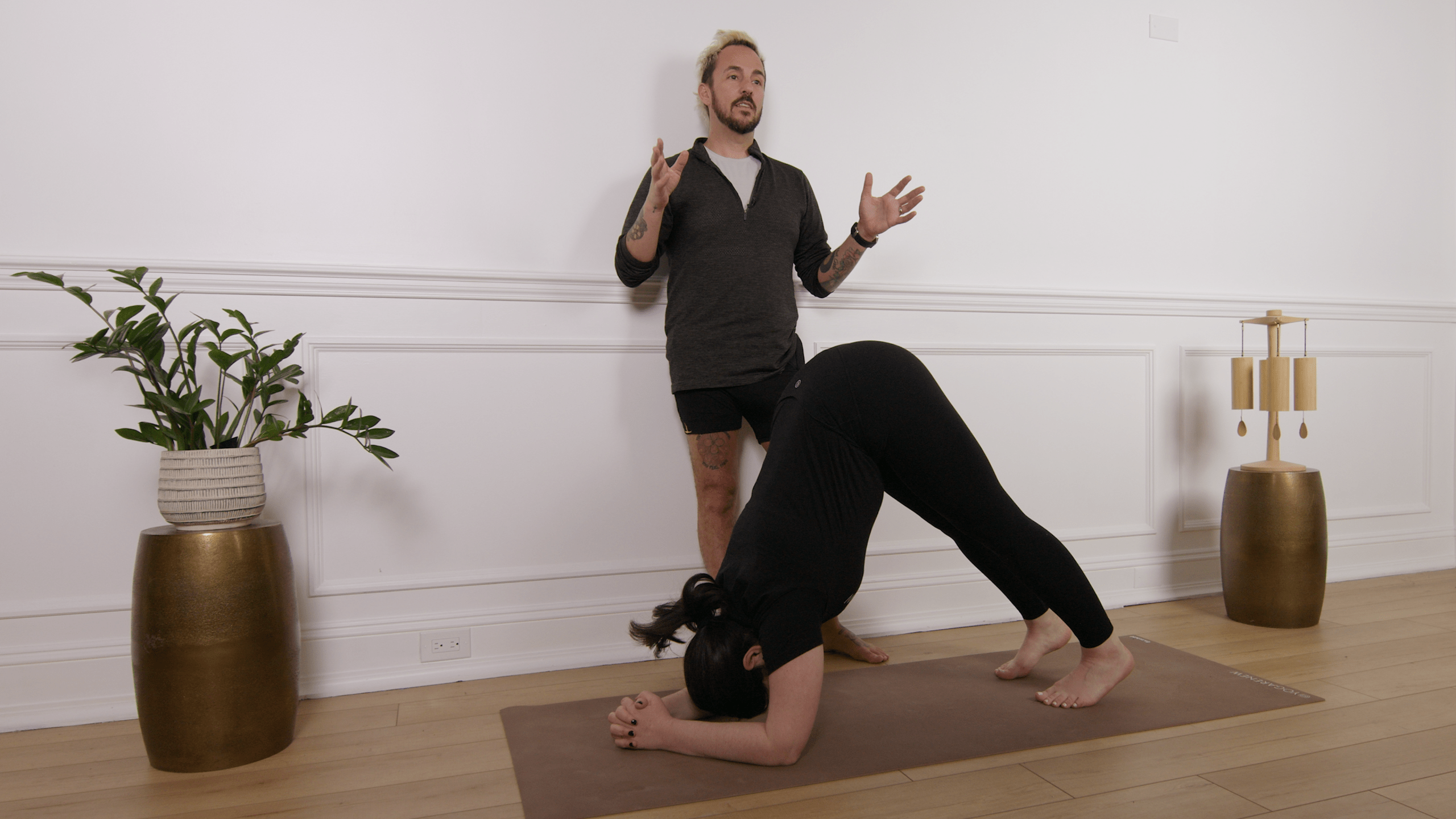 dolphin pose tutorial
