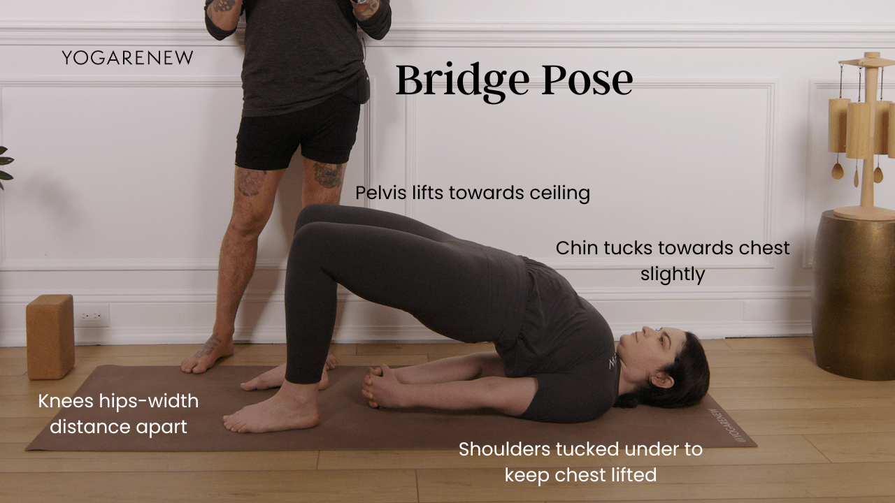 bridge pose alignment