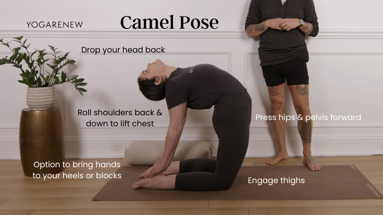 Camel Pose Infographic