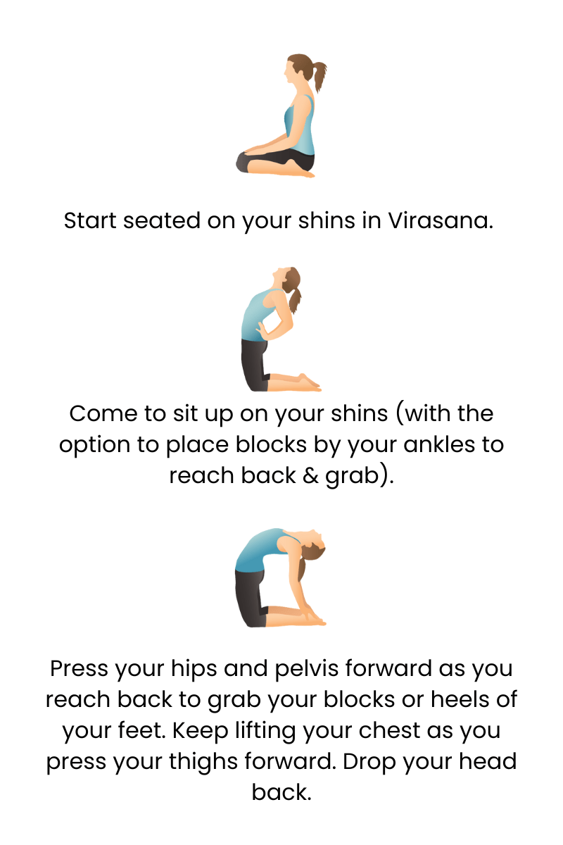 camel pose how to graphic