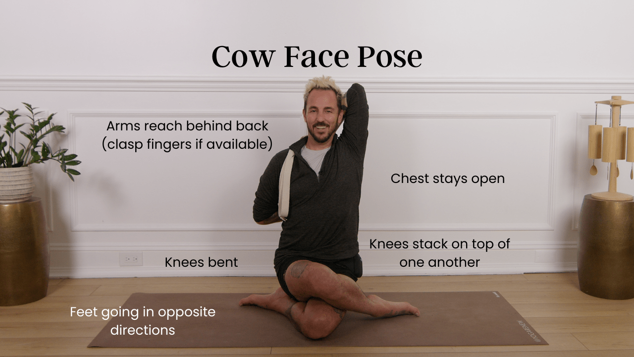 cow face pose diagram