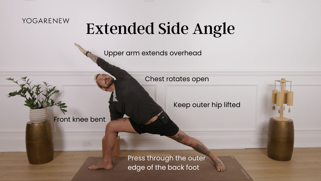 extended side angle graphic with alignment points