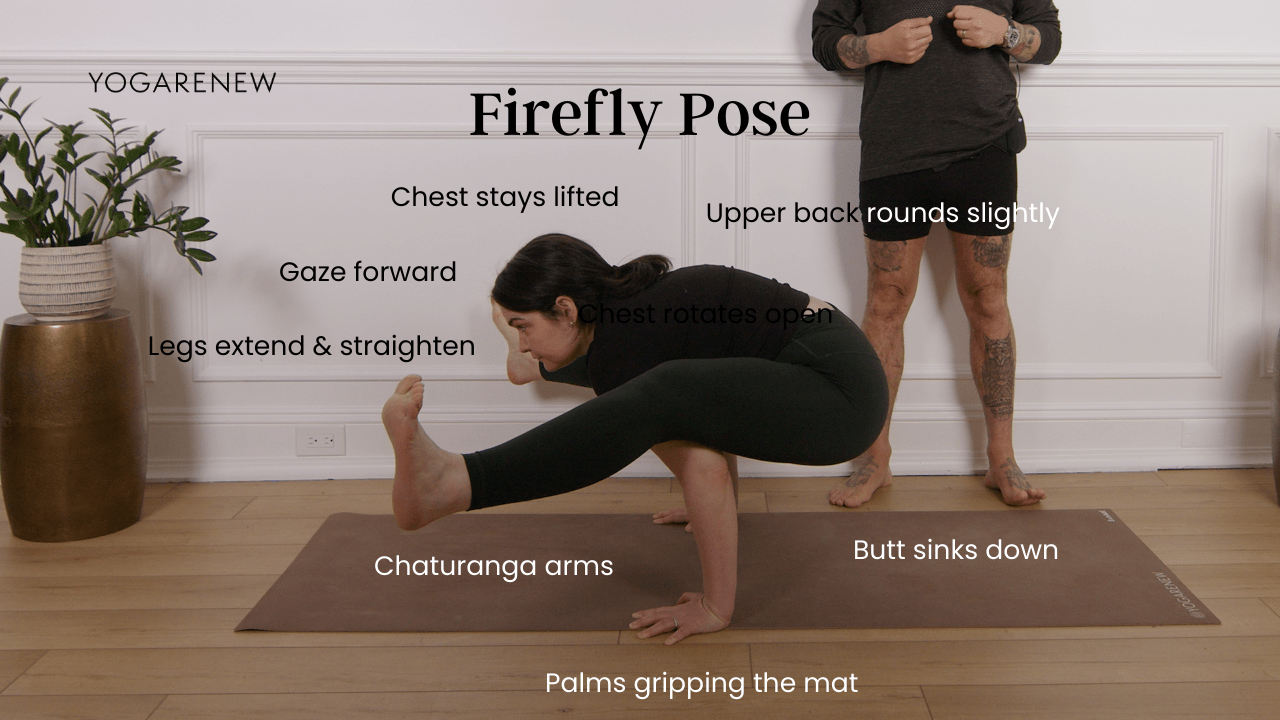 firefly diagram with alignment points