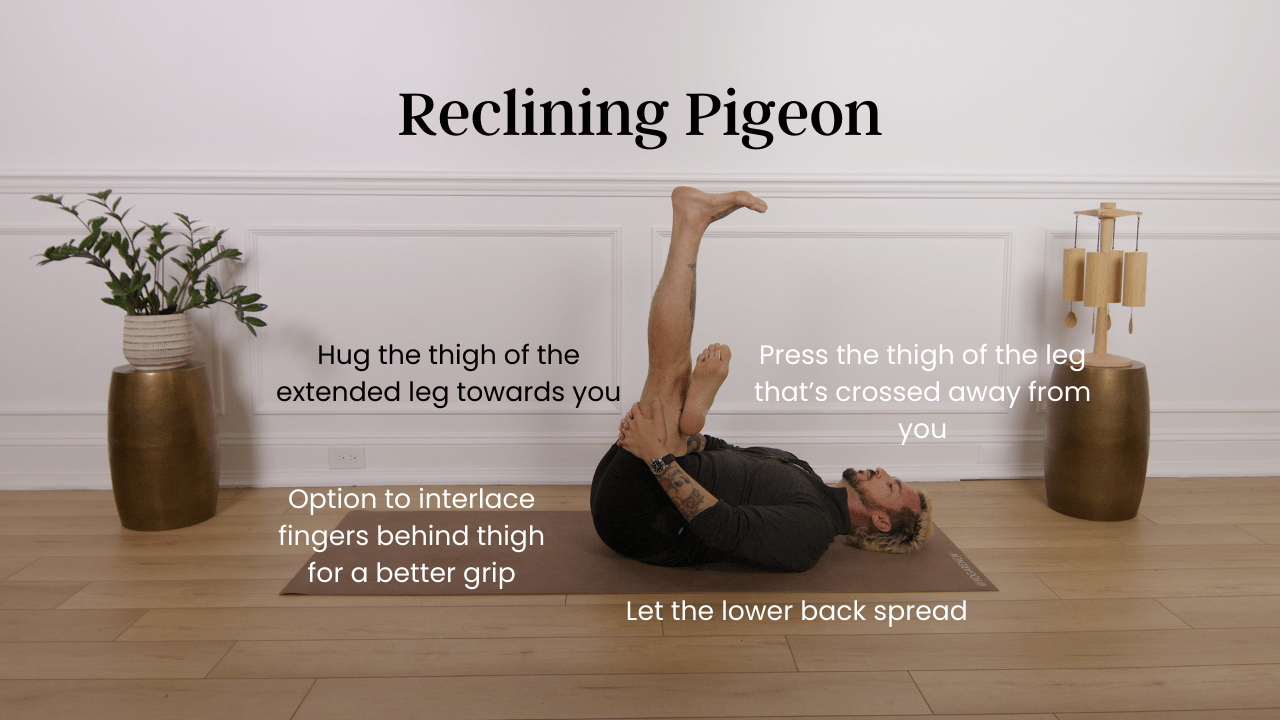 reclining pigeon infographic
