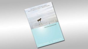 untethered soul