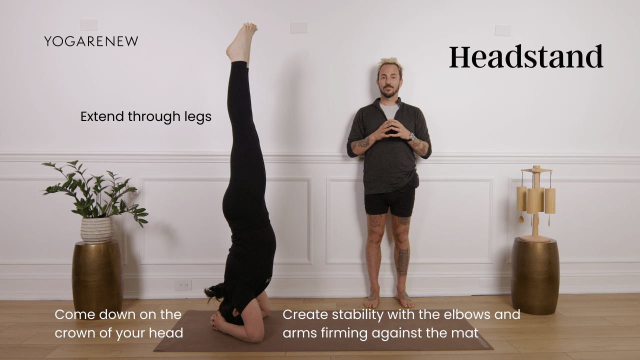 headstand graphic