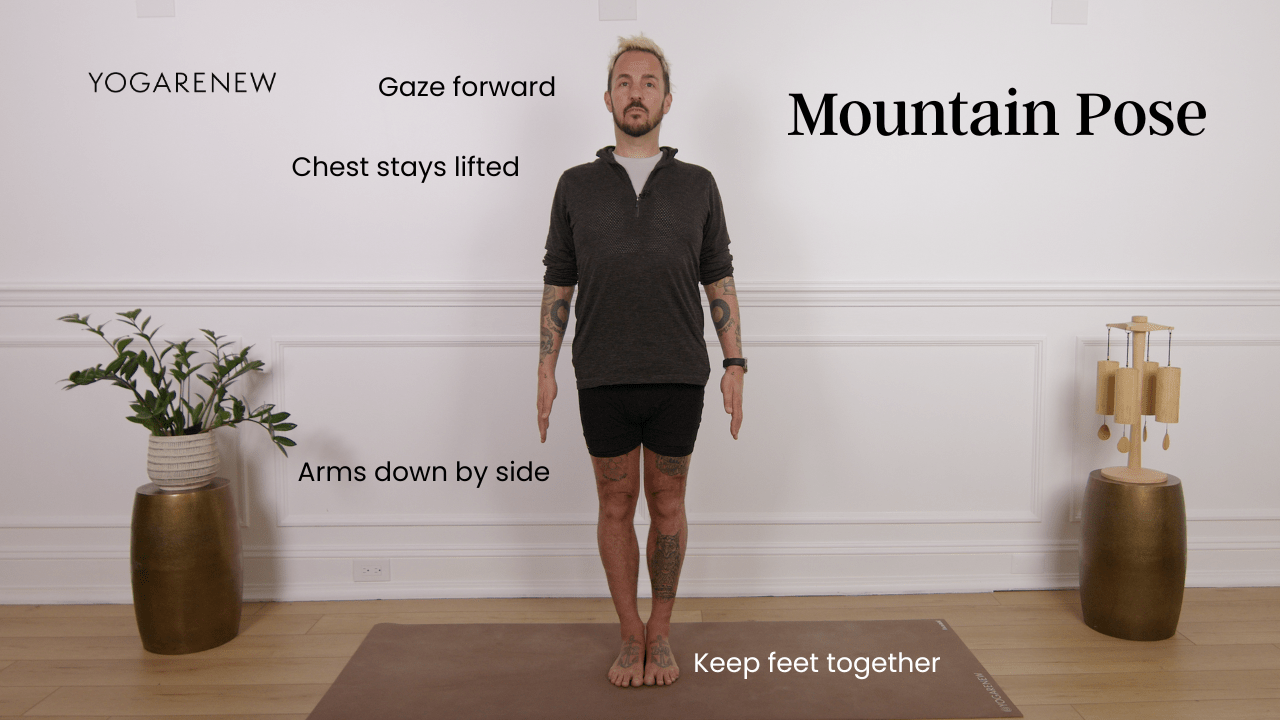 mountain pose diagram