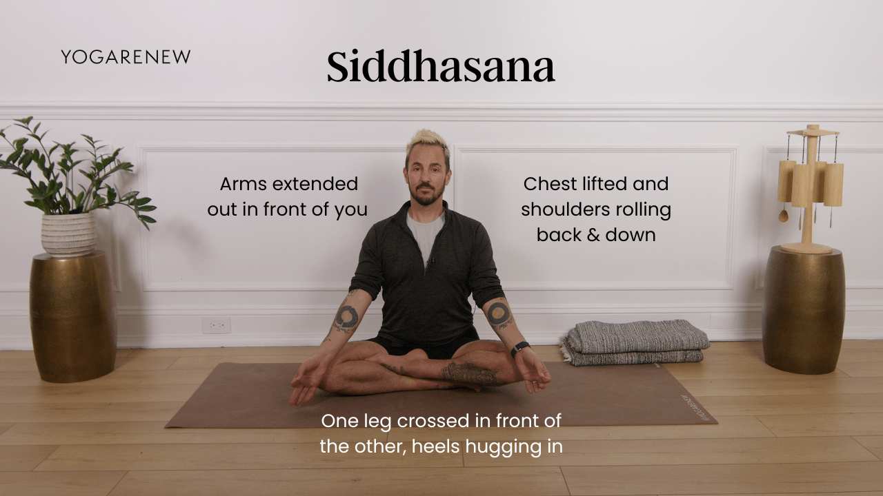 siddhasana how to
