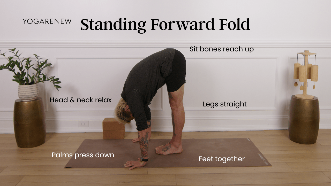 standing fwd fold graphic