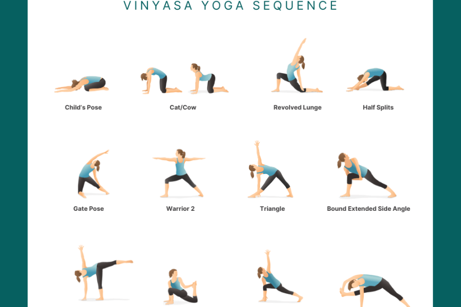 visvamitrasana