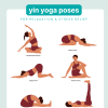 yin yoga poses pdf for relaxation & stress relief