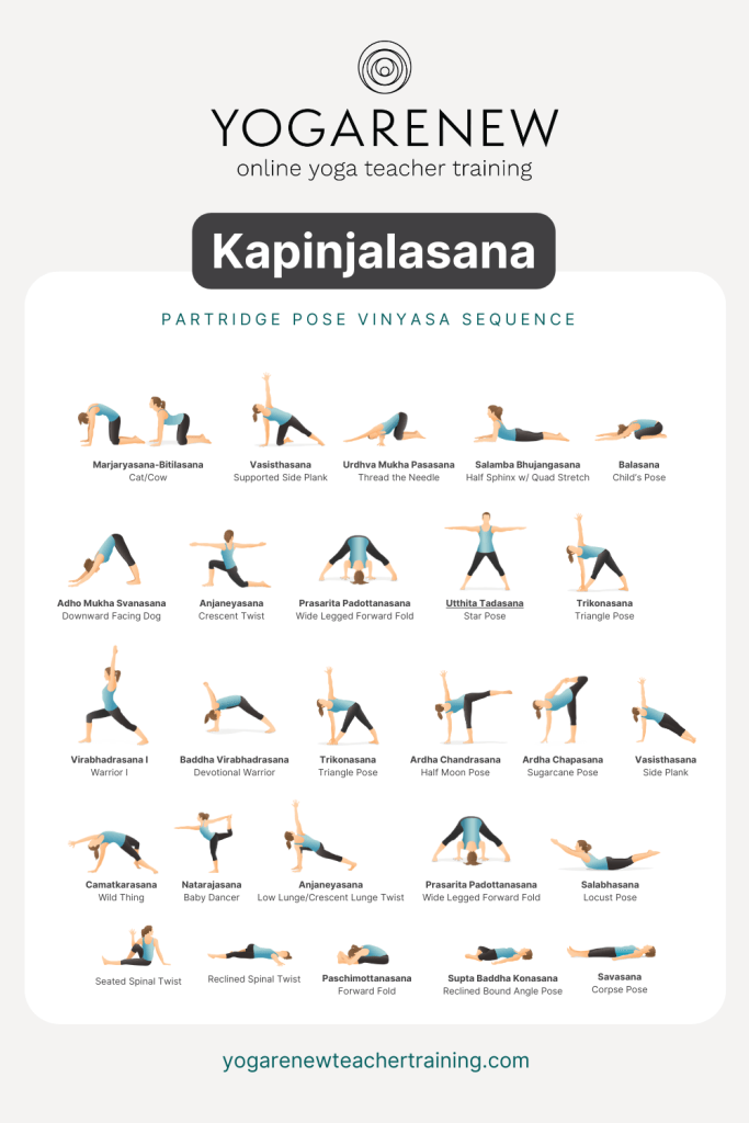 kapinjalasana sequence pdf