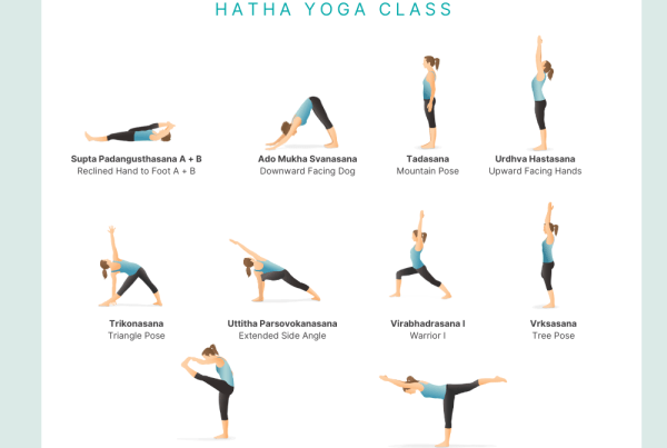 warrior 3 hatha yoga class pdf
