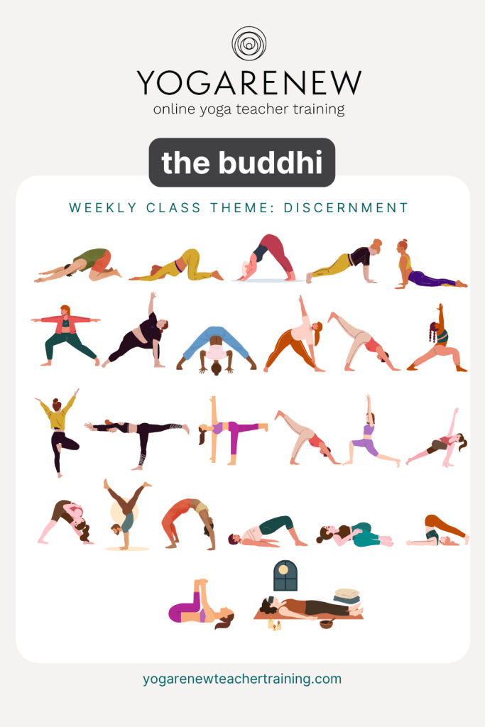 the buddhi weekly class theme