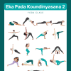 eka pada koundinyasana 2
