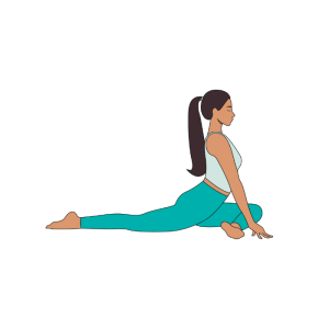 pigeon pose clipart