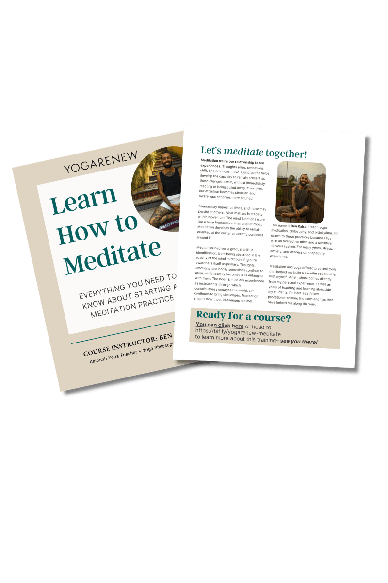 How to Meditate PDF download image